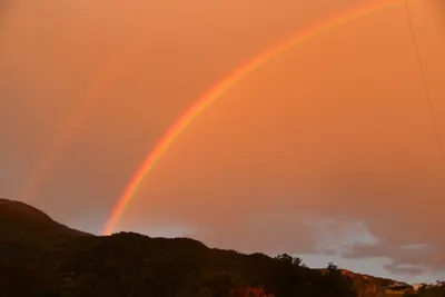 DSC_6058 (Large).JPG